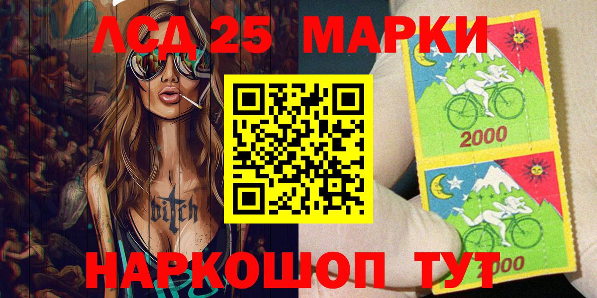 Псилоцибиновые грибы Гусиноозёрск