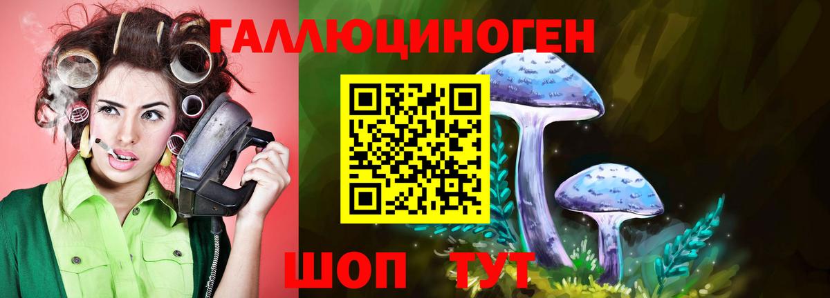 Гусиноозёрск  Псилоцибиновые грибы Magic Shrooms  Вход с VPN 